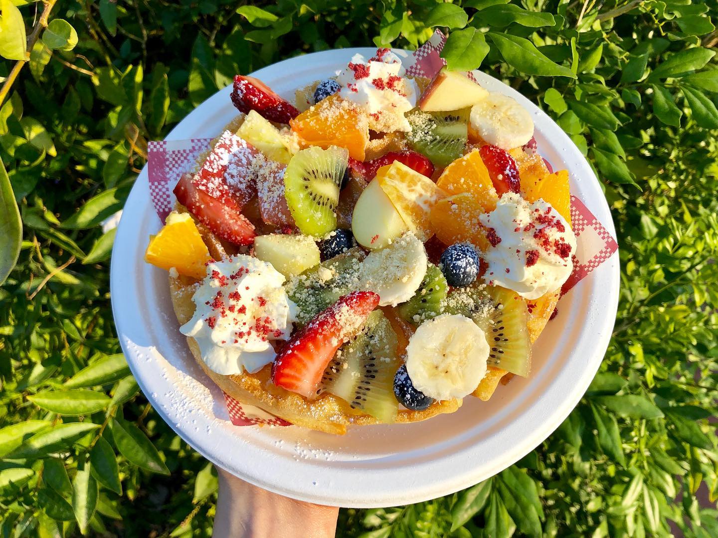Tutti Frutti waffle with fresh fruit